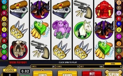 Online Pokies Adventure: From Mafia to Spirit Guide Panda