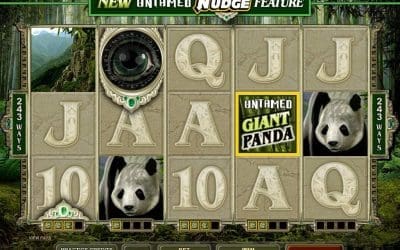 Spin and Win: Explore Themed Online Slots for Every Interest!